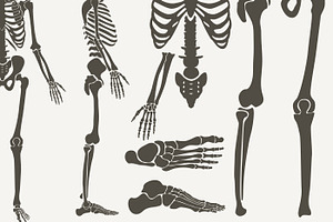 Human Bones Skeleton Silhouette Set