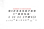 Drift Typeface, a Serif Font by thedesignshark (Thumbnail 6 of 11)