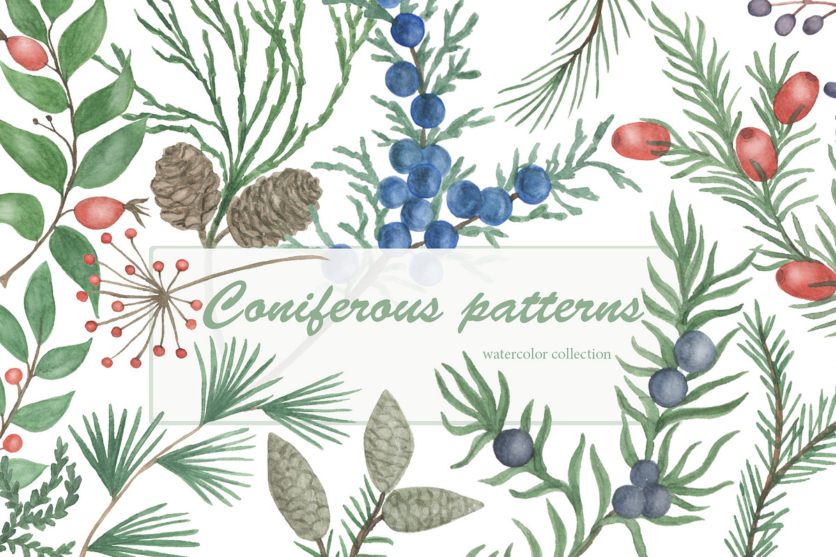 Coniferous patterns collection, a Pattern Graphic by ramika (Photo 1 of 2)