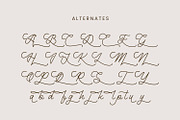Glanbois - Monoline Script Font, a Script Font by Favo Write (Thumbnail 12 of 12)