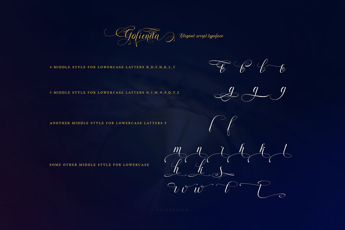 Gofienda, a Script Font by alit design (Photo 3 of 17)