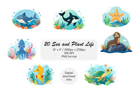 20 Sea Creatures and Plant Life