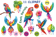 Colorful Tropical Parrots Clipart, an Object Graphic by GraphicRedStudio (Thumbnail 1 of 9)