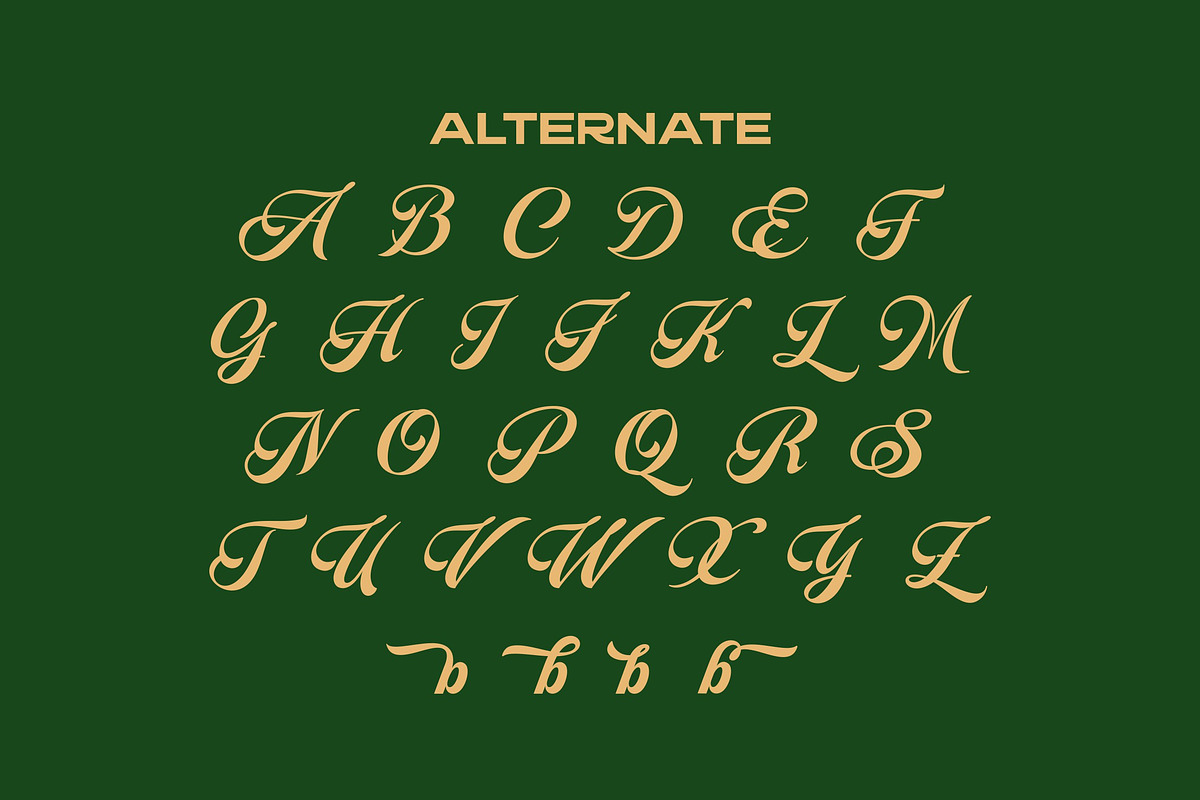 Blagkine - Bold Script, a Script Font by ErgibiStudio (Photo 11 of 11)