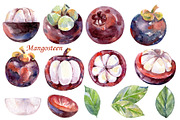 Watercolor tropical fruits., an Illustration by TaPilipa (Thumbnail 23 of 39)