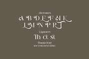Riley Frost - Casual Serif Font, a Serif Font by StringLabs (Thumbnail 10 of 10)
