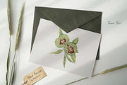 Watercolor Chestnut Set, a Food Illustration by MayaNavits (Thumbnail 6 of 7)