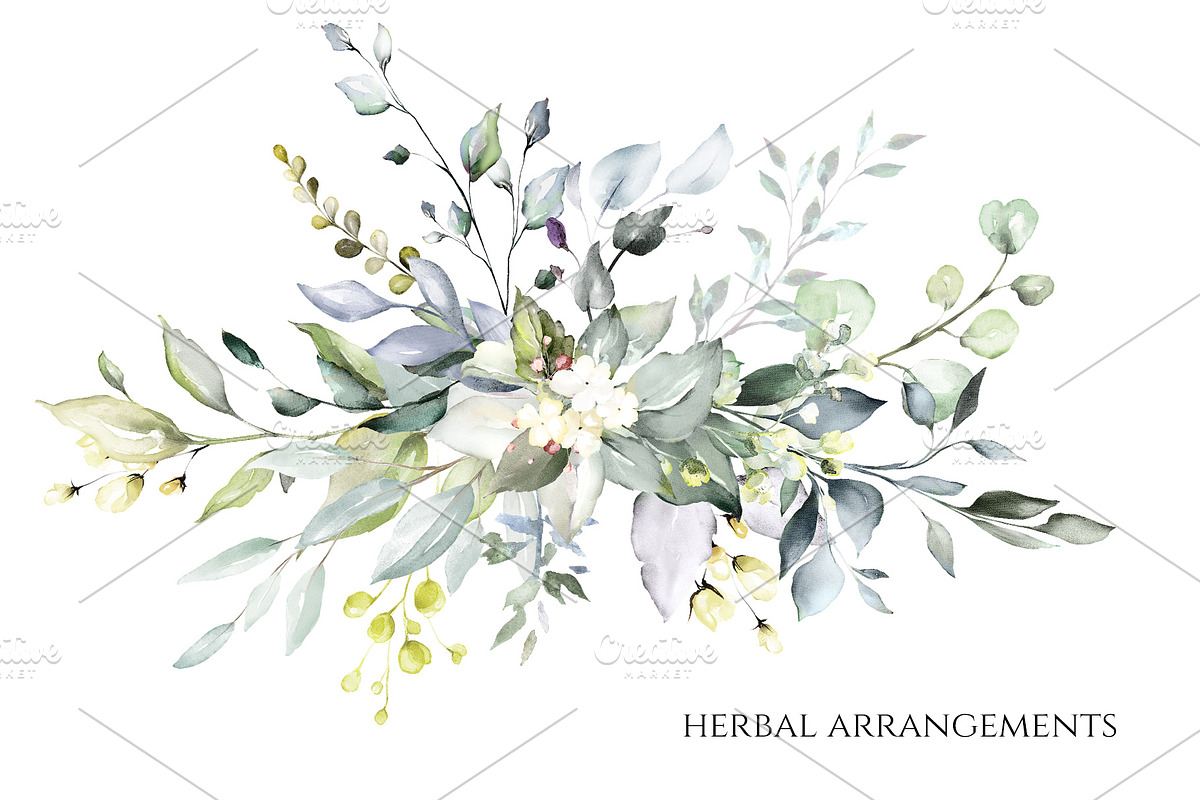 Herbal Watercolor collection, a Work Illustration by Lisima (Photo 2 of 14)