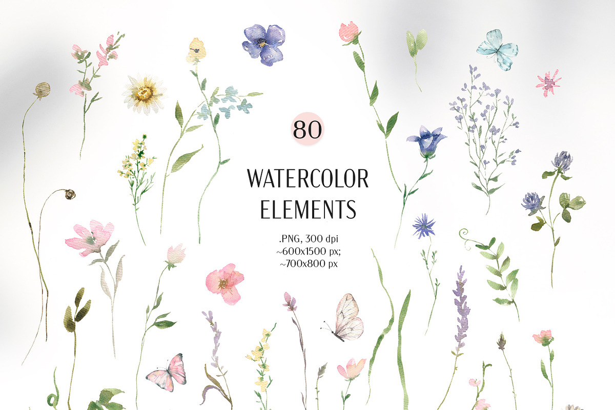 Summer Watercolor Wildflowers, a Decorative Illustration by Les Frolova (Photo 3 of 11)
