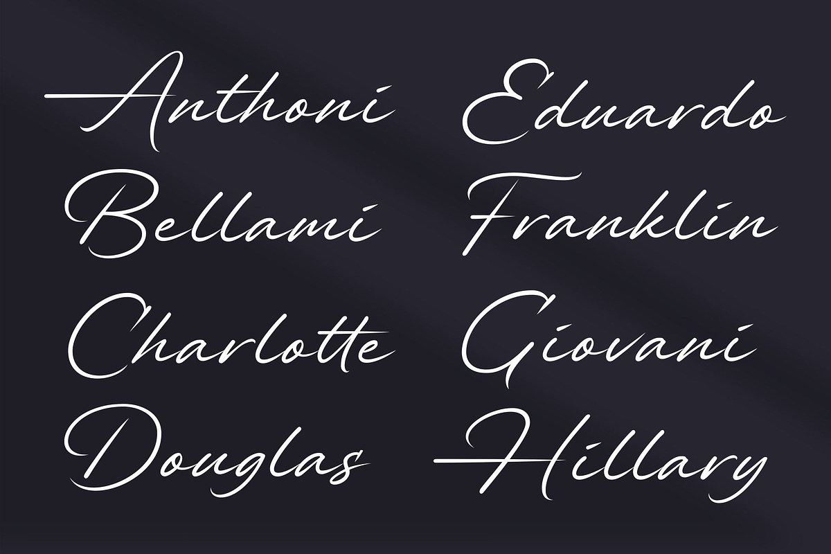 Alander Signature Font, a Script Font by Letteralle Studios (Photo 4 of 7)