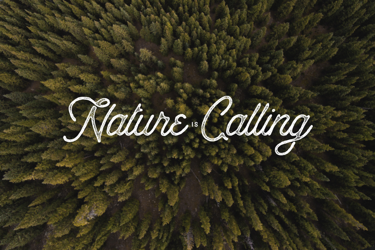 Anchorage Script Typeface preview 3