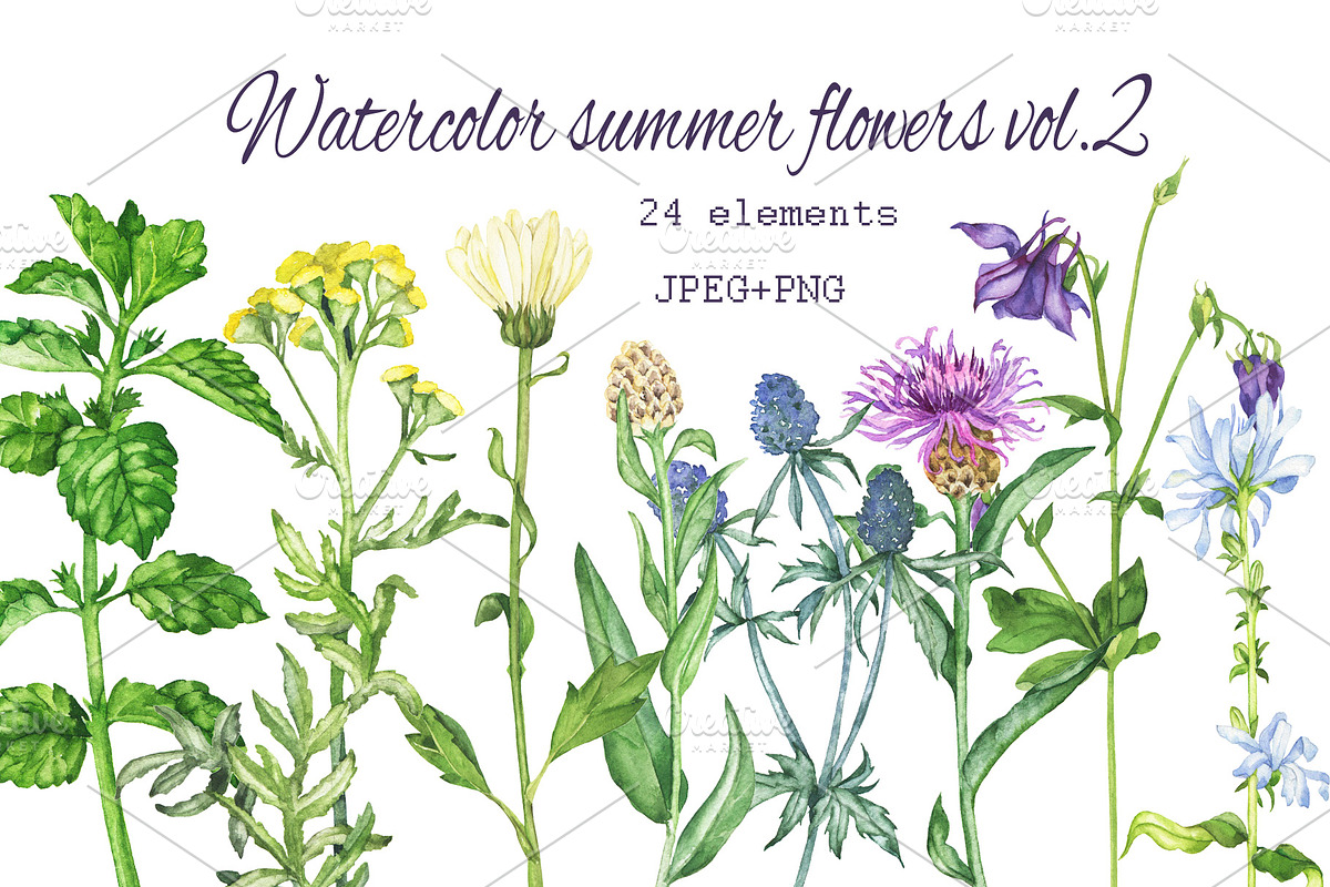 Watercolor floral set, an Illustration by Watercolor & sketches (Photo 1 of 7)