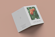 US Size Bifold Brochure MockUp, a Brochure Template by coloformia (Thumbnail 5 of 12)