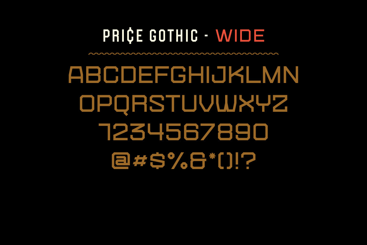 Price Gothic Font Family, a Sans Serif Font by Price Foundry (Photo 7 of 10)