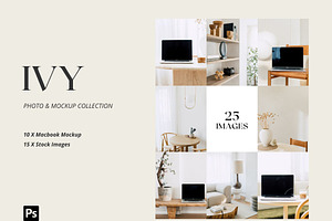 MOCKUP COLLECTION: IVY
