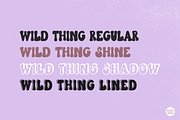 WILD THING Retro Font Family, a Font by Blush Font Co. (Thumbnail 4 of 8)
