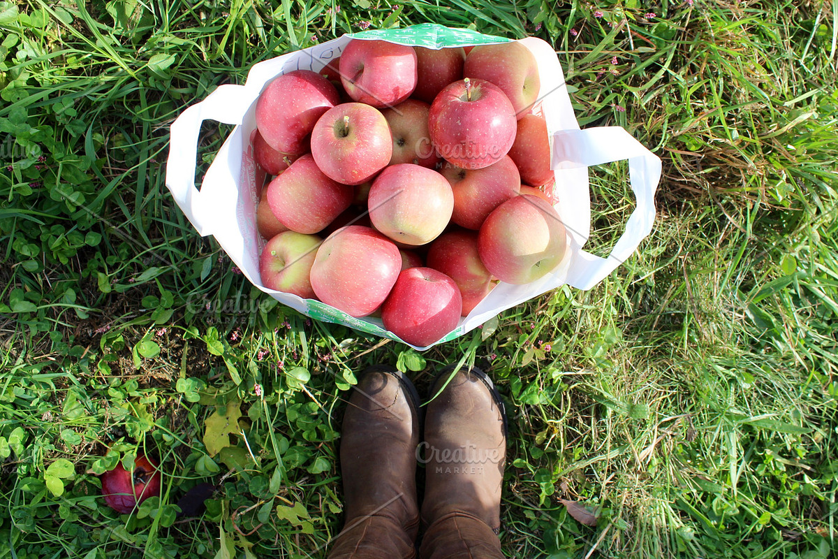 Fall Apple Picking - 10 Stock Photos, a Nature Photo by RIK Photography (Photo 5 of 8)
