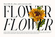 Nother Gambus Family Serif Font, a Serif Font by Graphicxell (Thumbnail 2 of 8)