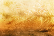 Autumn Watercolor Backgrounds, a Texture Graphic by ArtistMef (Thumbnail 6 of 9)