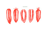 Tomato Farm Vector Collection, a Food Illustration by Lubov Illustrations Shop (Thumbnail 10 of 13)