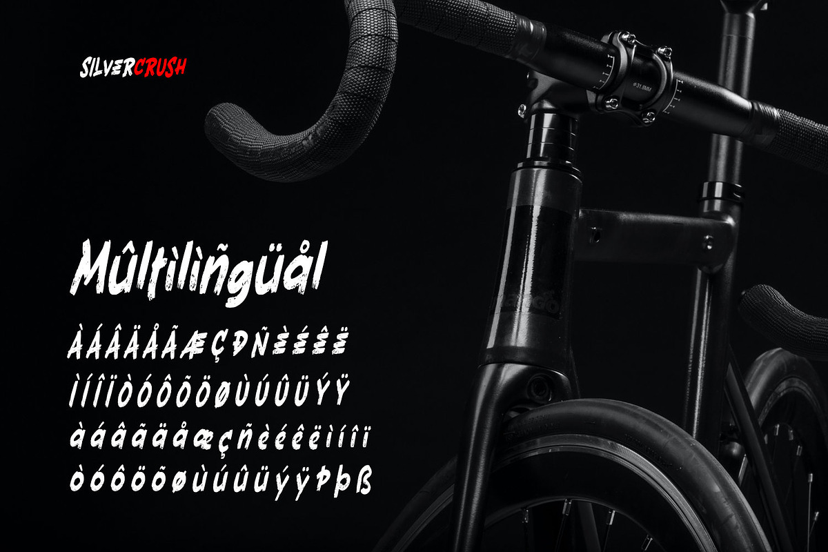SILVERCRUSH Typeface, a Font by ikiiko (Photo 6 of 6)