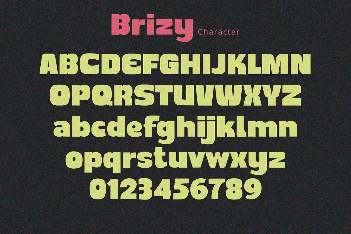 Brizy - Display Sans, a Sans Serif Font by Alpaprana (Photo 8 of 10)