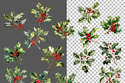 Christmas Holly Watercolor Clipart, a Decorative Illustration by Vasmila (Thumbnail 5 of 6)