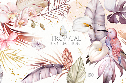 Watercolor Tropical Collection