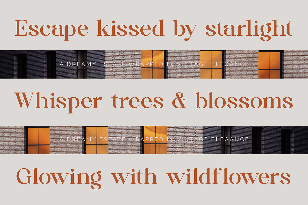 Quika Calletto Modern Serif Font, a Serif Font by timelesstype.co (Photo 4 of 20)