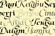Dh Alani Rosle - 16 Branding Family, a Serif Font by Dharmas Foundry (Thumbnail 8 of 15)