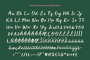 CS Belrise Drawn, a Script Font by Craft Supply Co. (Thumbnail 8 of 8)