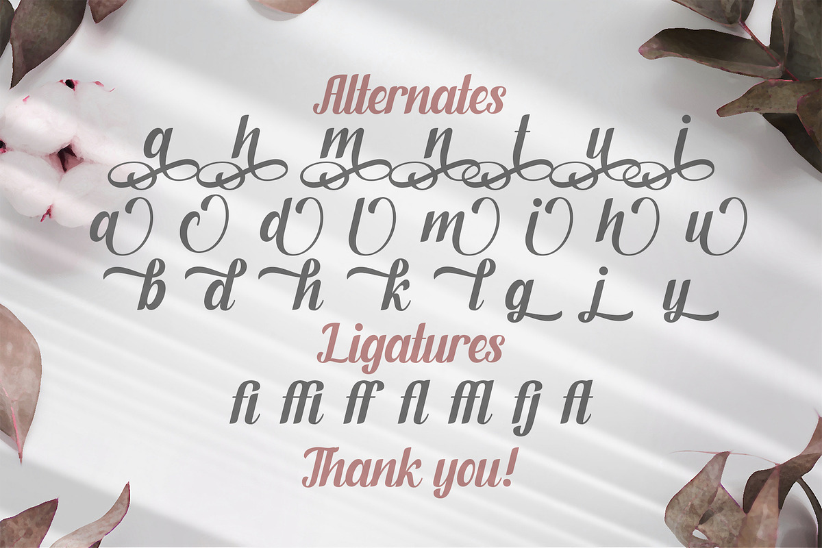 Fendysa - Calligraphy Font, a Script Font by StringLabs (Photo 14 of 14)