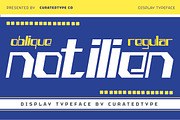 Notilien - Display Font, a Sans Serif Font by CuratedType Studio (Thumbnail 1 of 7)