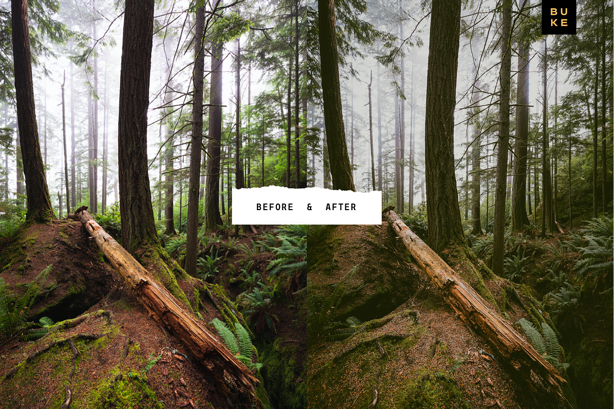 4 Forest Tales – Lightroom Presets, a Preset Add-On by SHOOM HOUSE (Photo 3 of 8)