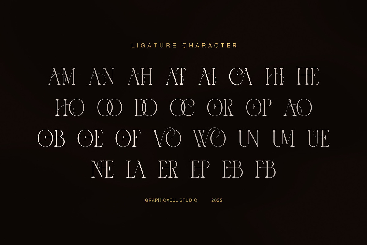 Mordo Elegant Modern Serif Font, a Serif Font by Graphicxell (Photo 8 of 8)