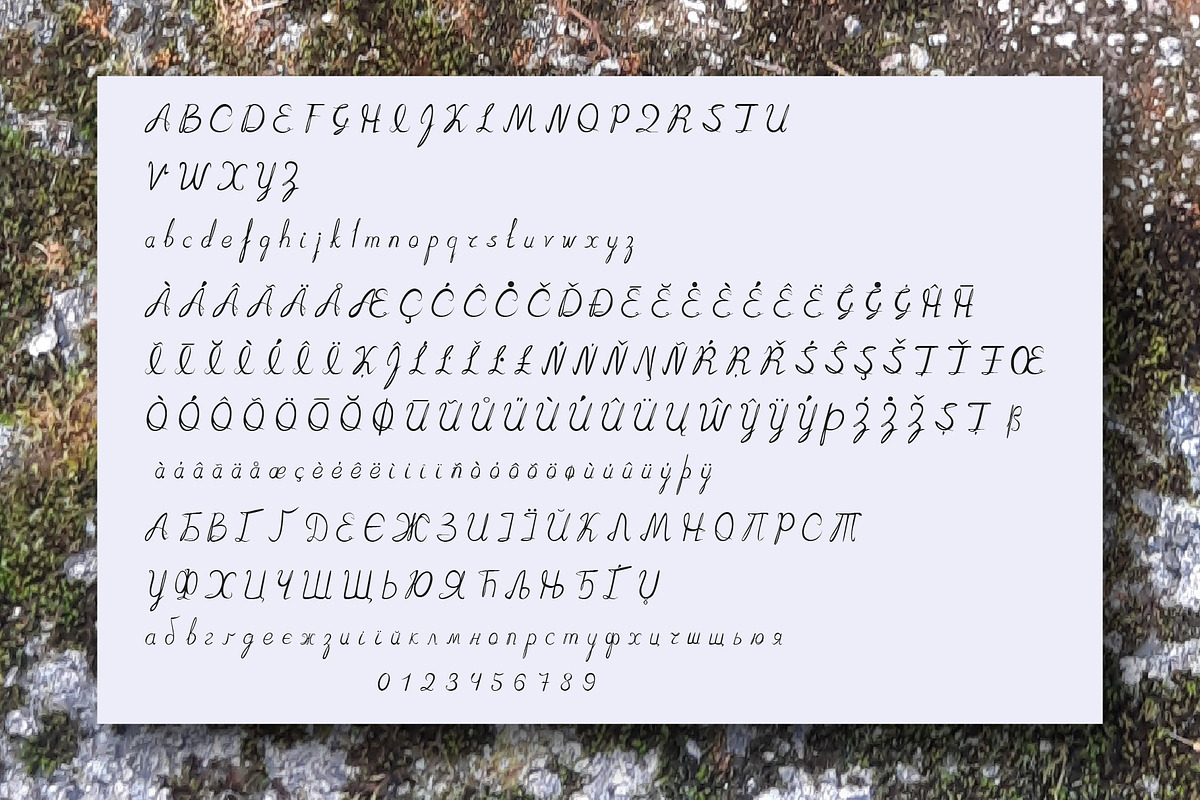 Moderna Script, a Script Font by Digital illustration shop (Photo 2 of 8)