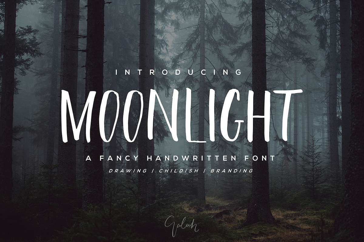 Wonderfull Font Collection, a Script Font by Chocotype Std (Photo 26 of 51)