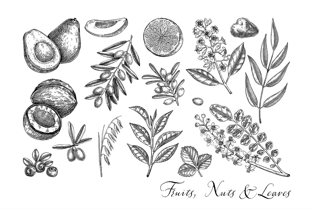 Botanical Beauty & Spa Branding Kit, a Healthcare Illustration by Yevheniia (Photo 5 of 12)