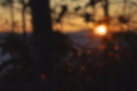 Blurred Sunrise