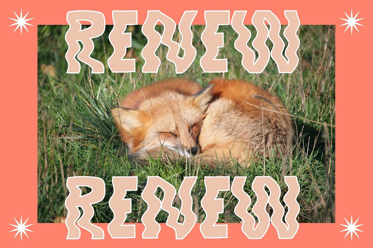 Foxy a Hand-lettered Modern Display, a Handwritten Font by Eryn Rose Design (Photo 4 of 12)