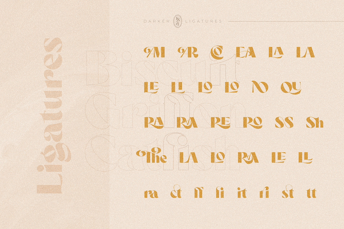 Darker Sans Serif + Extras, a Sans Serif Font by 1871 Project (Photo 9 of 12)