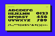 Nicky Dacky Display Font, a Sans Serif Font by Perfectype (Thumbnail 8 of 8)