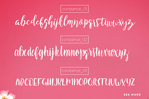 Constance Brush Font Trio