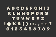 Modern Distress, a Slab Serif Font by Limited.studio (Thumbnail 6 of 6)