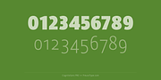 CognitaSans PRO, a Sans Serif Font by preussTYPE (Thumbnail 2 of 8)