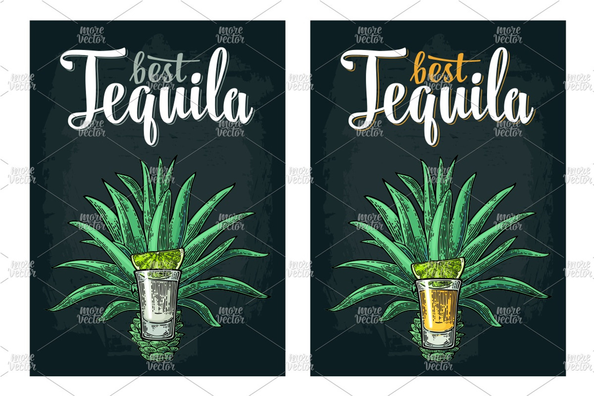Tequila. Illustrations and posters, an Illustration by MoreVector (Photo 8 of 11)