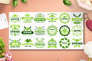 72 SPRING VINTAGE BADGE & RIBBON, a Branding & Logo Template by Toonsteb (Thumbnail 5 of 12)
