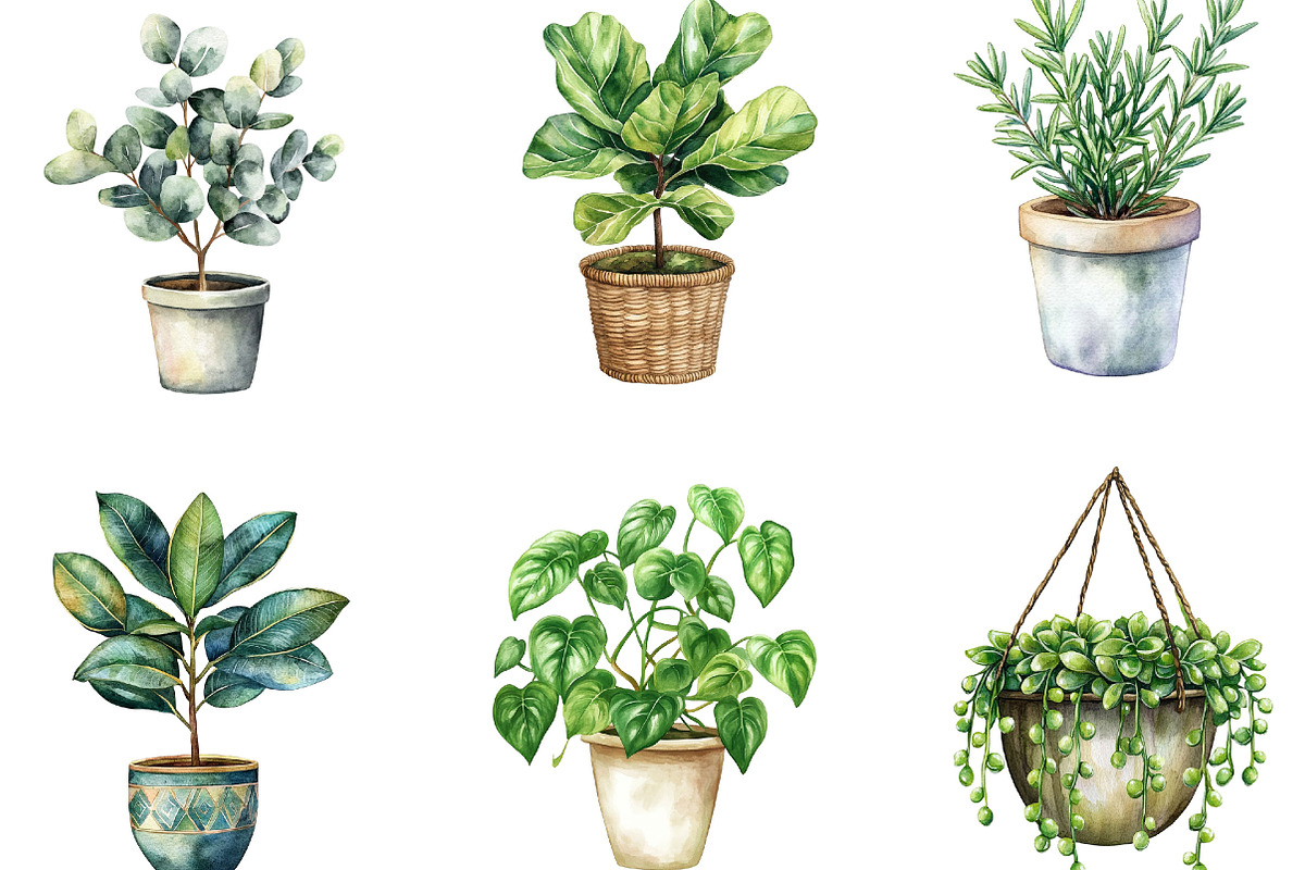 Watercolor Home Plants Clipart, an Illustration by Designking (Photo 2 of 5)