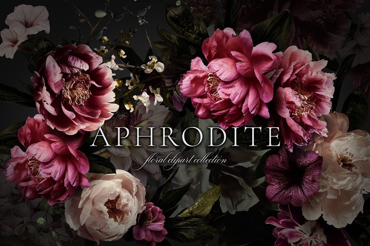 Aphrodite Floral Clip Art Collection, an Object Graphic by Eclectic Anthology (Photo 2 of 13)