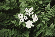 Modern Botanical Clip Art Collection, a Decorative Illustration by Sweet Fig (Thumbnail 13 of 13)